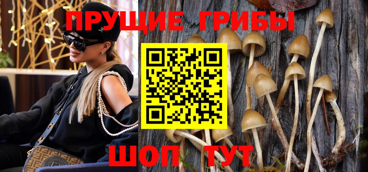как найти закладки  Псилоцибиновые грибы GOLDEN TEACHER  Вход с VPN  Касимов  Псилоцибиновые грибы ЛСД 